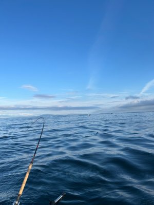 IMG_0194.jpeg