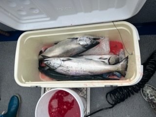 IMG_1921.jpeg
