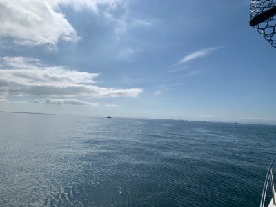 IMG_3403.jpeg