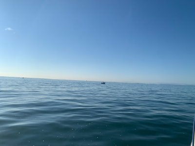 IMG_3405.jpeg