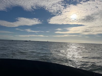 IMG_4798.jpeg