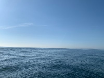 IMG_3429.jpeg