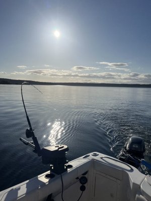 IMG_6975.jpeg