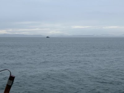 IMG_9813.jpeg