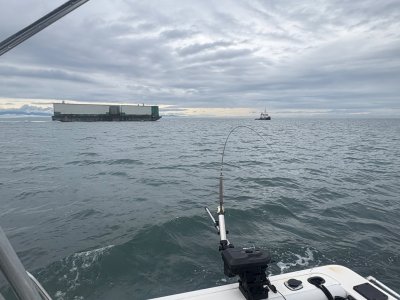 IMG_9817.jpeg