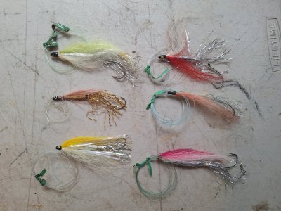 20250929_130214.jpg