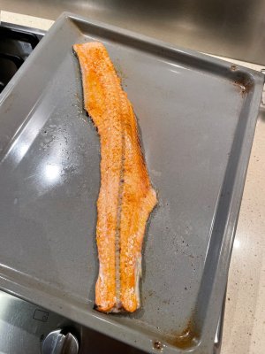 IMG_3986.jpeg