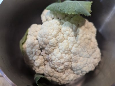 cauliflower.jpg