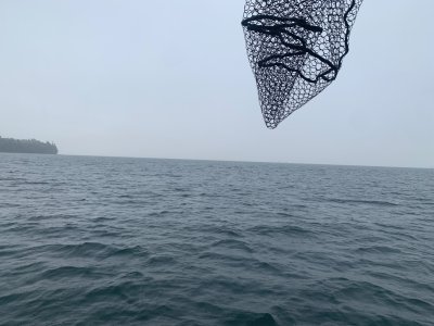 IMG_3465.jpeg