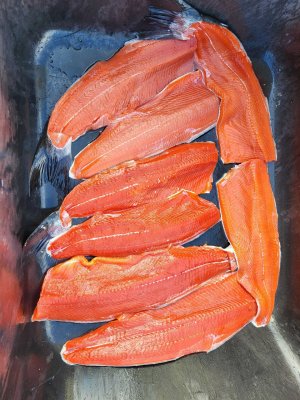 Oct 2 Coho.jpg