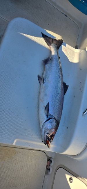 20251005_093042.jpg