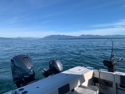 IMG_4643.jpeg