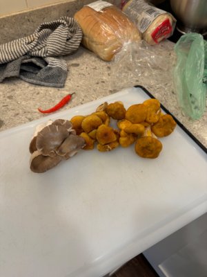 IMG_6688.jpeg