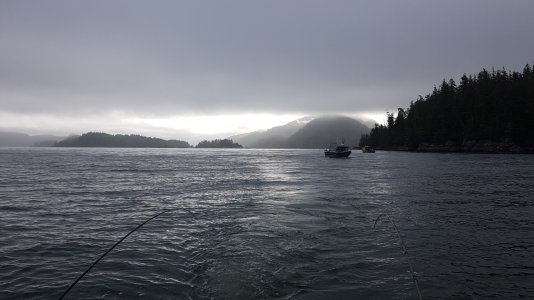 20250813_081020.jpg