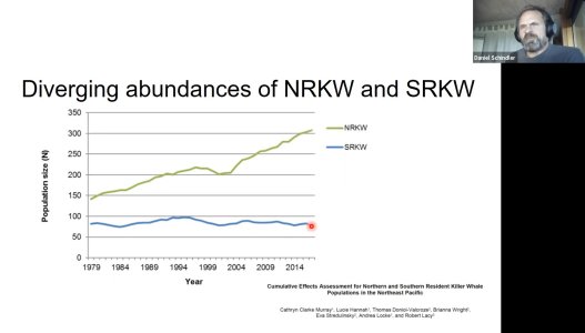orca numbers.jpg orca numbers.jpg