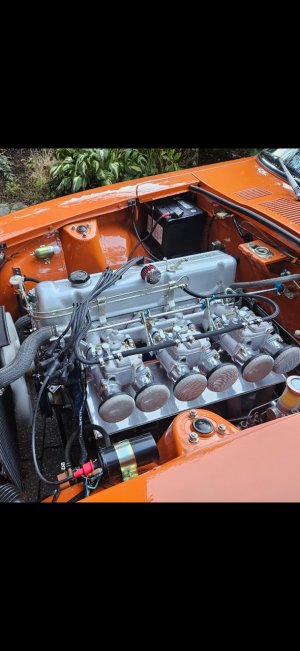 Screenshot_20251016_084552_Gallery.jpg Screenshot_20251016_084552_Gallery.jpg