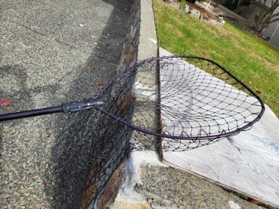 9 ft big bag net.jpg