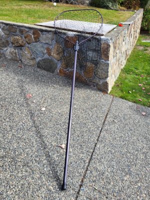 9 ft net.jpg