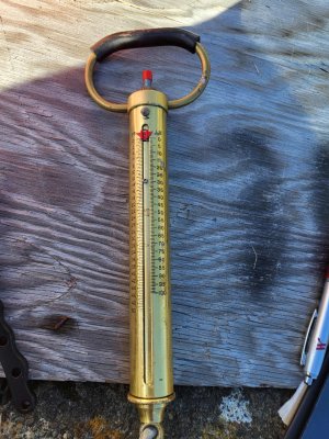 100lb scale.jpg