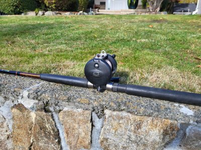 Penn hali reel.jpg