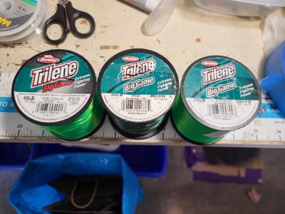 Triline Line.jpg