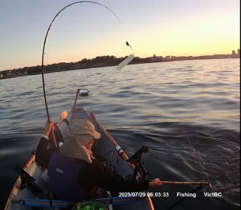 GaffRspoonB.jpg GaffRspoonB.jpg