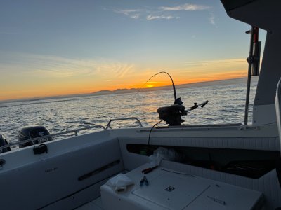 IMG_0652.jpeg