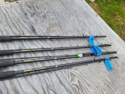 Shimano Talora 8 ft Jigging rods.jpg Shimano Talora 8 ft Jigging rods.jpg
