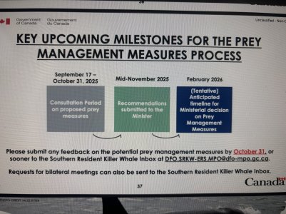 IMG_6561.jpeg IMG_6561.jpeg