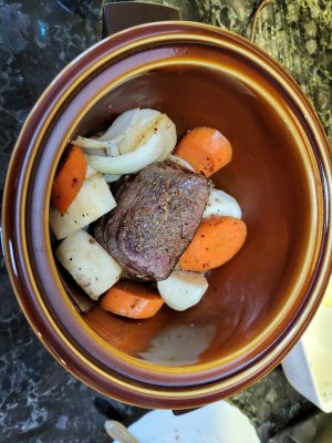 browned Bison roast.jpg