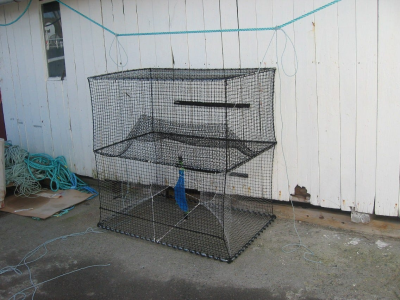 1762103092232.png 1762103092232.png