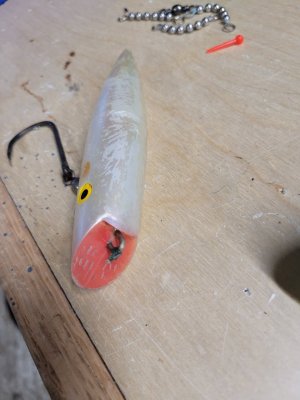 1000004822.jpg 1000004822.jpg