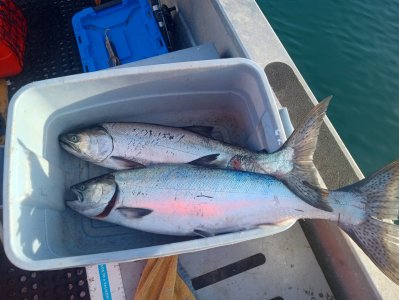 IMG_20251130_140355222_HDR.jpg IMG_20251130_140355222_HDR.jpg