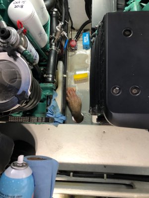 IMG_3140.jpeg IMG_3140.jpeg