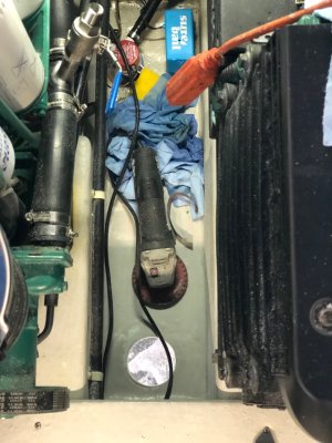 IMG_3146.jpeg IMG_3146.jpeg