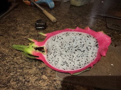 IMG_8865.jpeg IMG_8865.jpeg