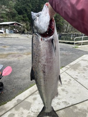 IMG_6580.jpg IMG_6580.jpg