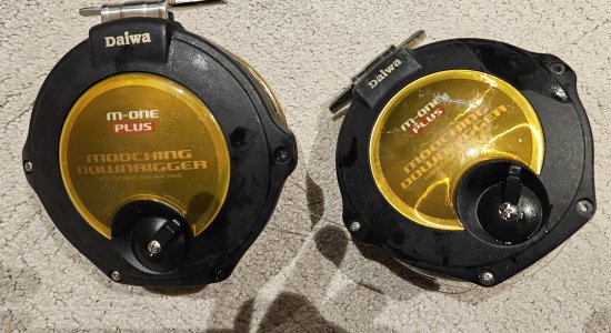 M-One plus backs.jpg