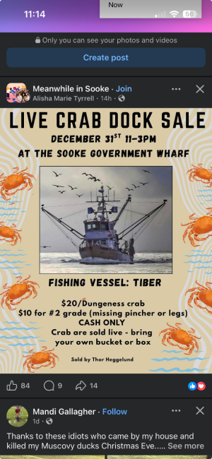 Screenshot 2025-12-29 at 11.14.09 AM.png