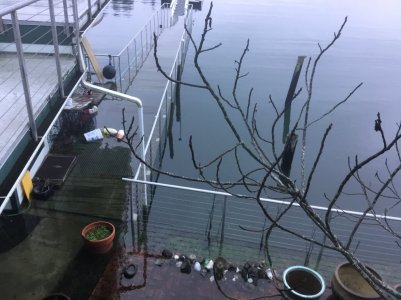 IMG_2490.jpeg IMG_2490.jpeg