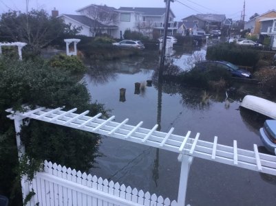 IMG_2487.jpeg IMG_2487.jpeg