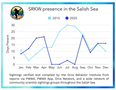 1767850268164.png 1767850268164.png