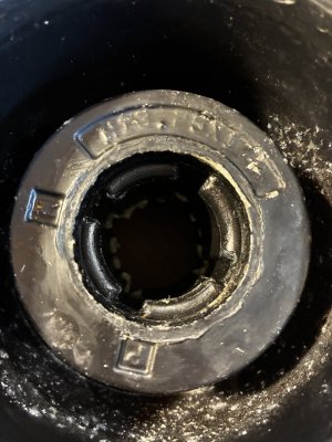 IMG_2039.jpeg IMG_2039.jpeg