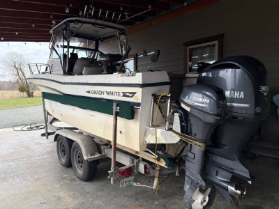 1771548545333.png 1771548545333.png