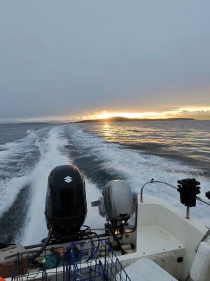 photo-356_singular_display_fullPicture.jpeg photo-356_singular_display_fullPicture.jpeg