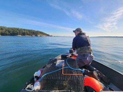 9873a40a-da0f-4b4a-b916-a69e310eee37.jpeg 9873a40a-da0f-4b4a-b916-a69e310eee37.jpeg