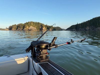 IMG_7667.jpeg IMG_7667.jpeg