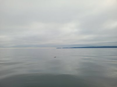 1000005106.jpg 1000005106.jpg