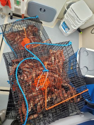 1000005102.jpg 1000005102.jpg