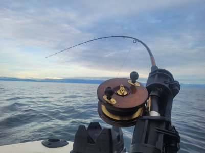 1000005095.jpg 1000005095.jpg